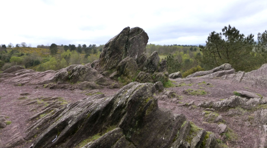 Broceliande 2 avril 2014 068.JPG