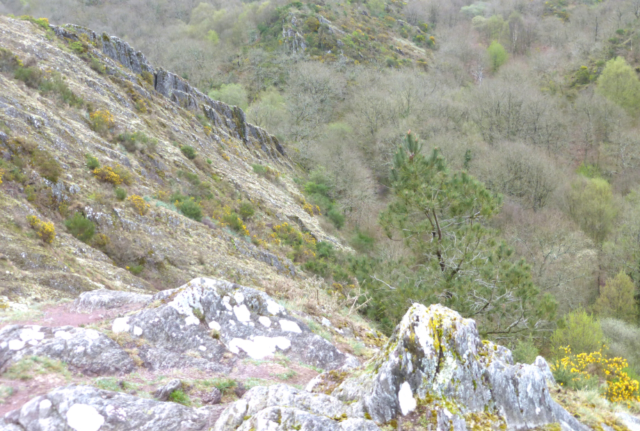 Broceliande 2 avril 2014 088.JPG