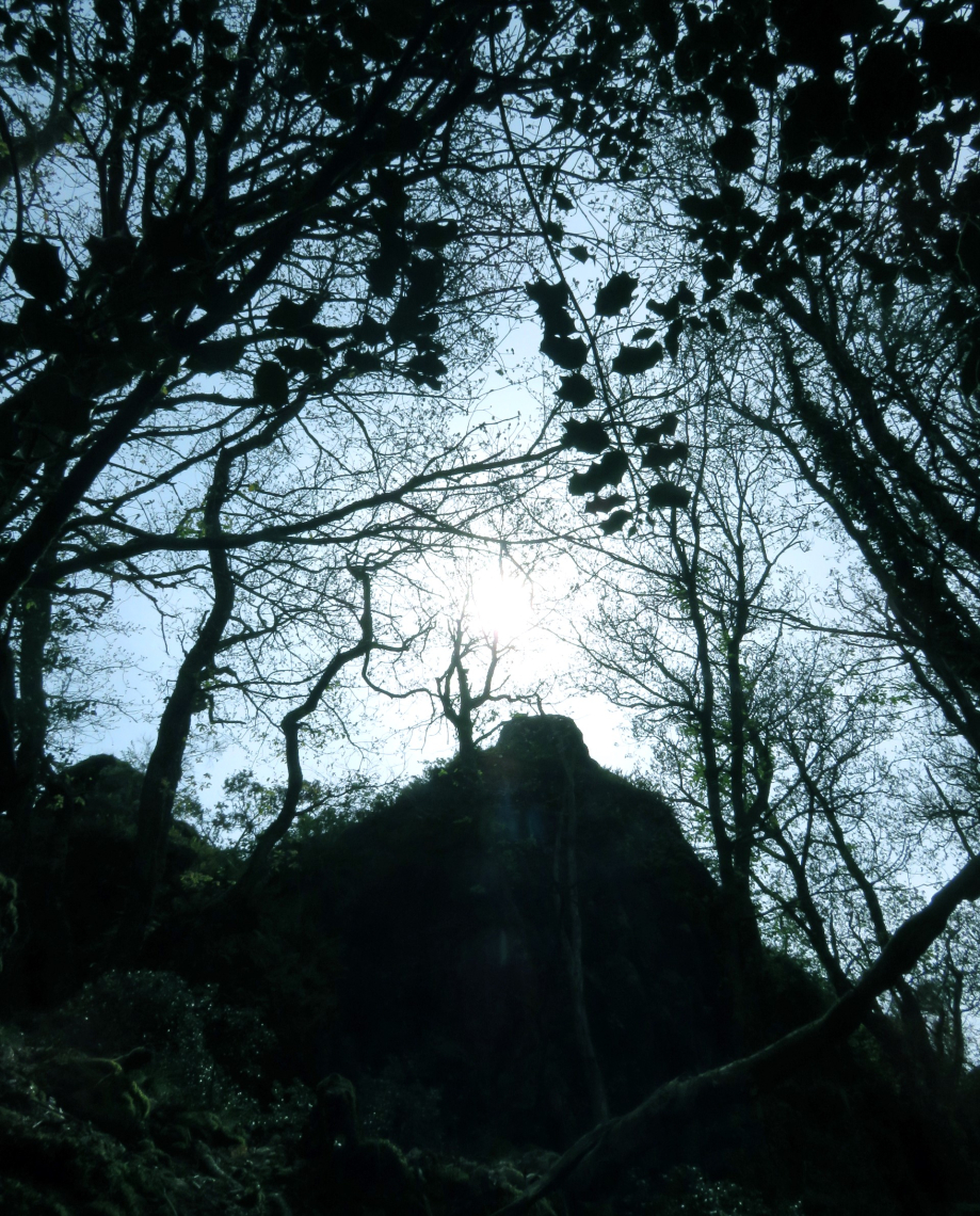 Brocéliande 2019 mai 177pm.jpg