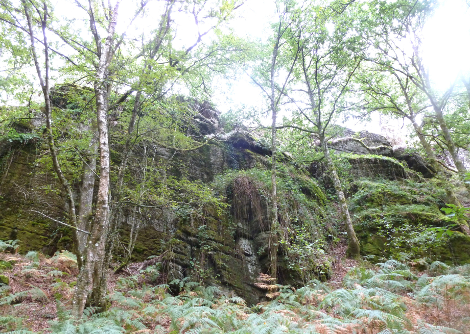 Brocéliande sept 2011 159.JPG