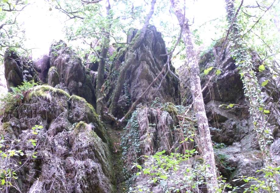 Brocéliande sept 2011 167.JPG