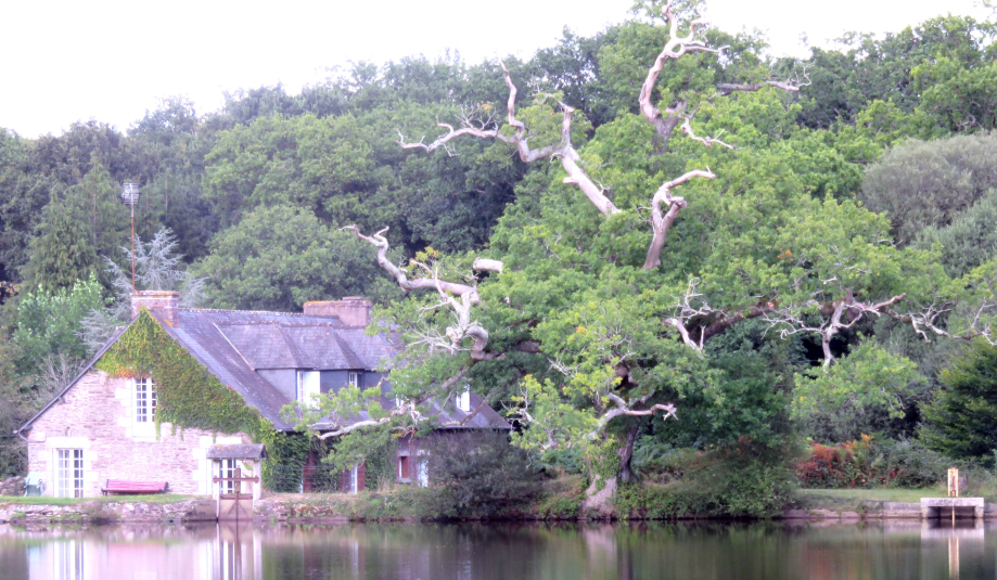 Brocéliande aout 2018 042pm.jpg