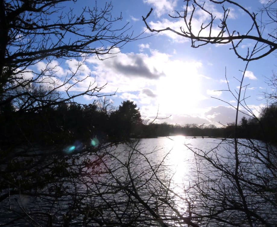 Divers Brocéliande 31 01 2019 029pm.jpg