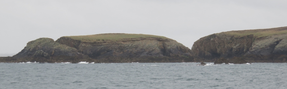 Ouessant Avril 2016 598pm.jpg
