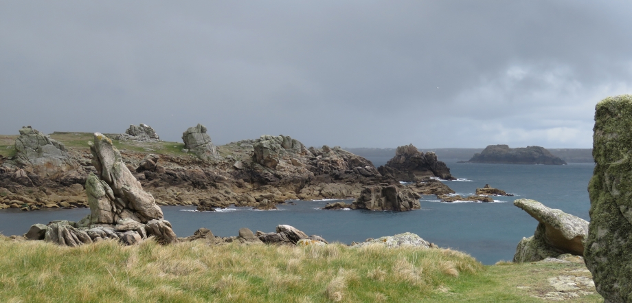 Ouessant Avril 2016 165pm.jpg