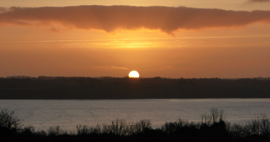 Baie d'Yfiniac Jan 2016 046pm.jpg