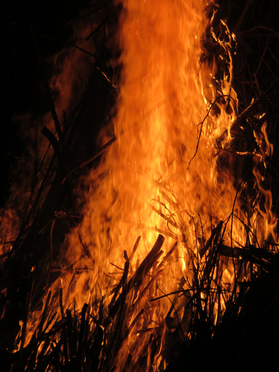 Fouée de la St Jean 2019 Quintin 030pm.jpg