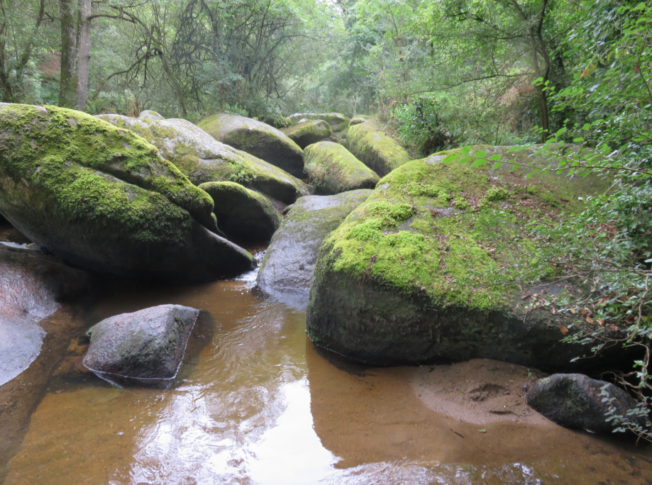 Cahos du Gouet 08 08 2019 594pm.jpg