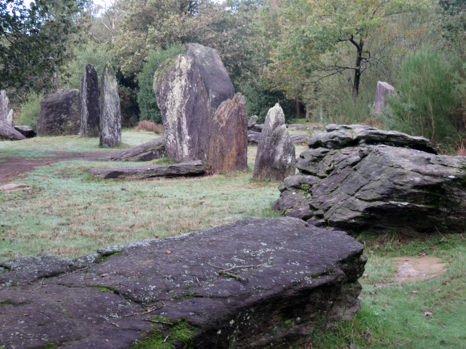 Brocéliande Champ 19 10 2019 182pm.jpg