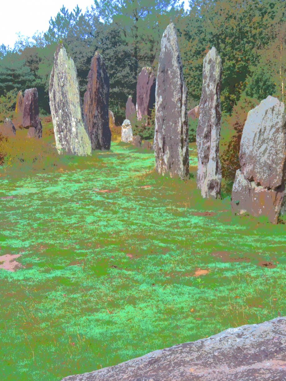 Brocéliande Champ 19 10 2019 223pm.jpg