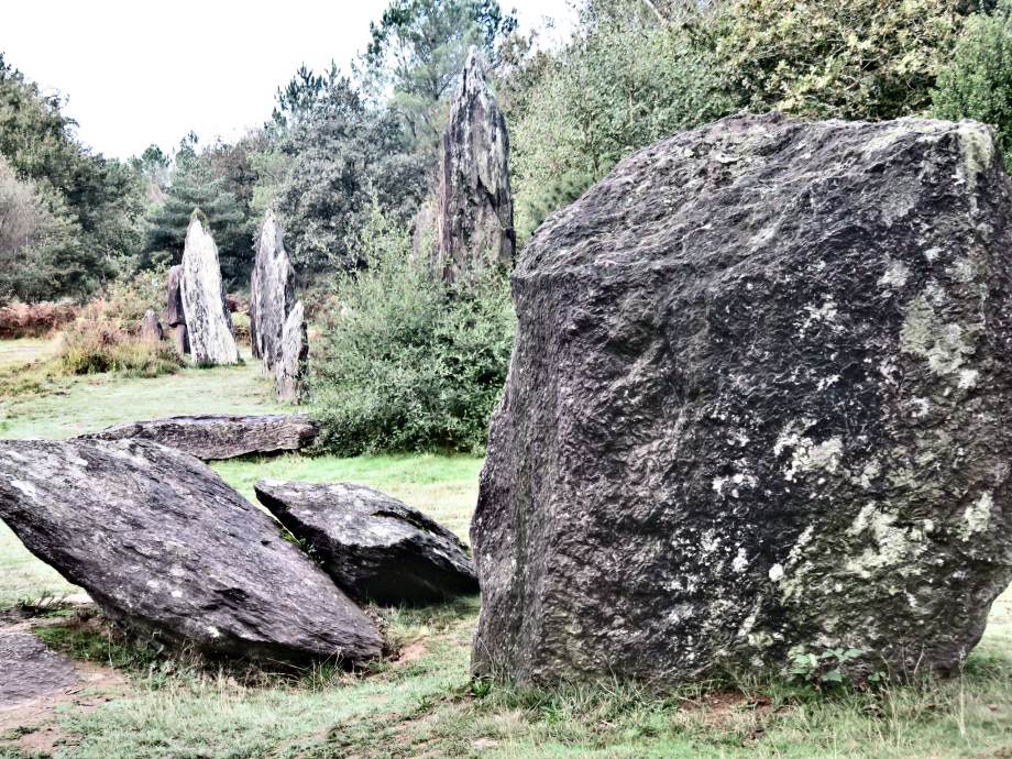 Brocéliande Champ 19 10 2019 207pm.jpg