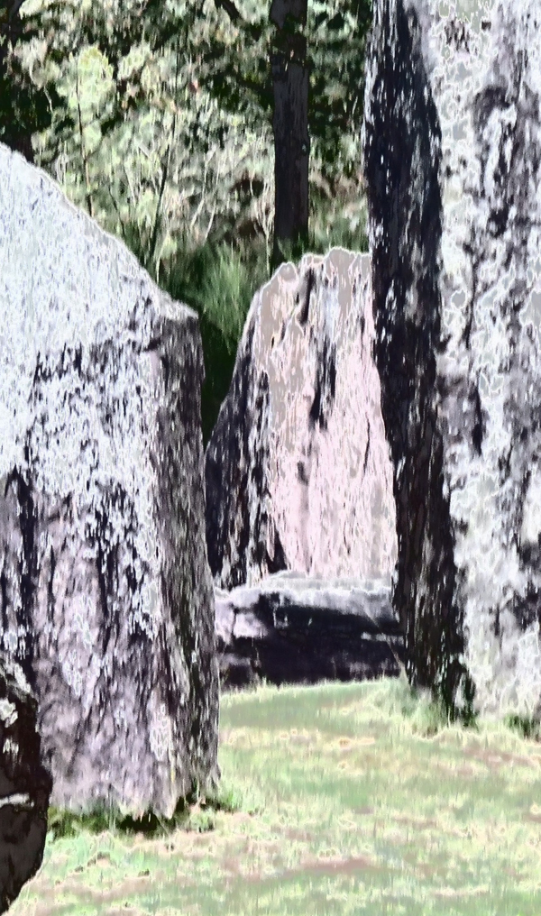 Brocéliande Champ 19 10 2019 272pm.jpg