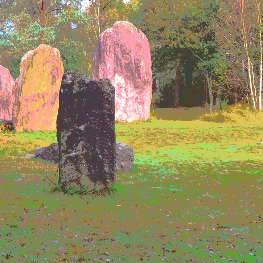 Brocéliande Champ 19 10 2019 577pm.jpg