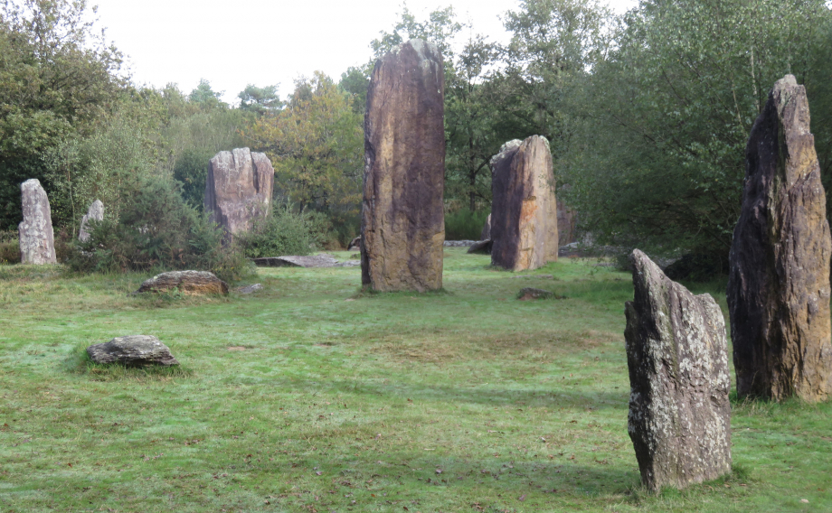 Brocéliande Champ 19 10 2019 616pm.jpg