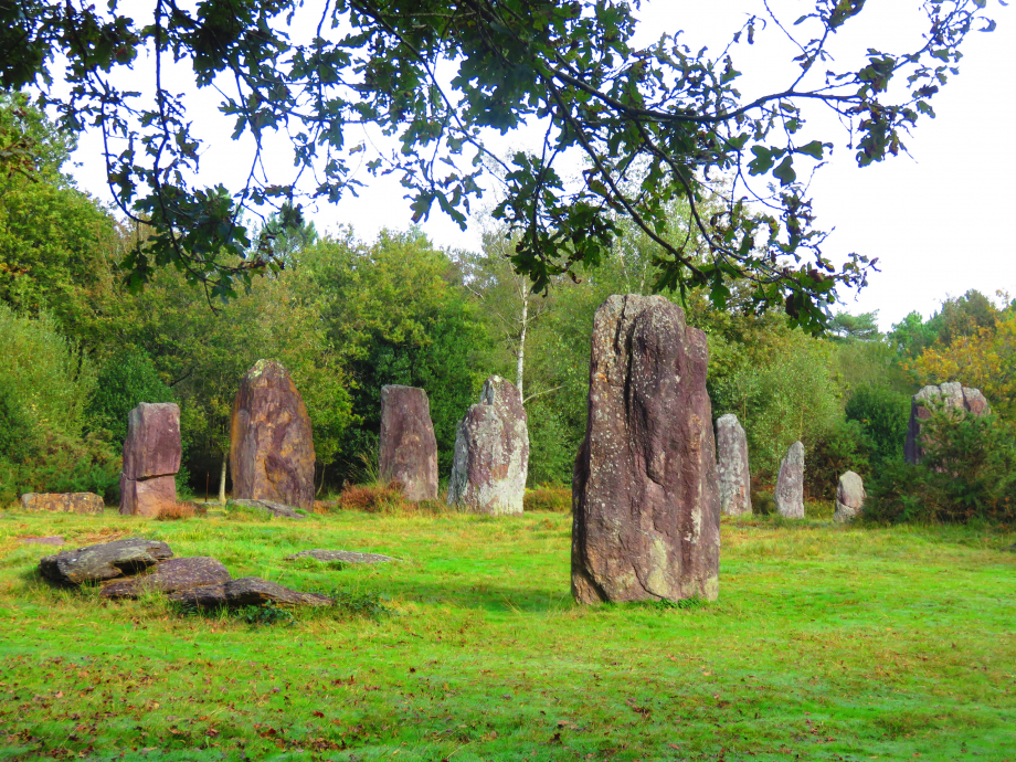 Brocéliande Champ 19 10 2019 615pm.jpg