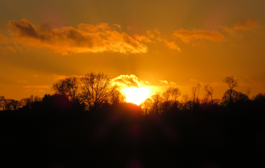 Coucher de soleil en Brocéliande mars 2019 010pm.jpg