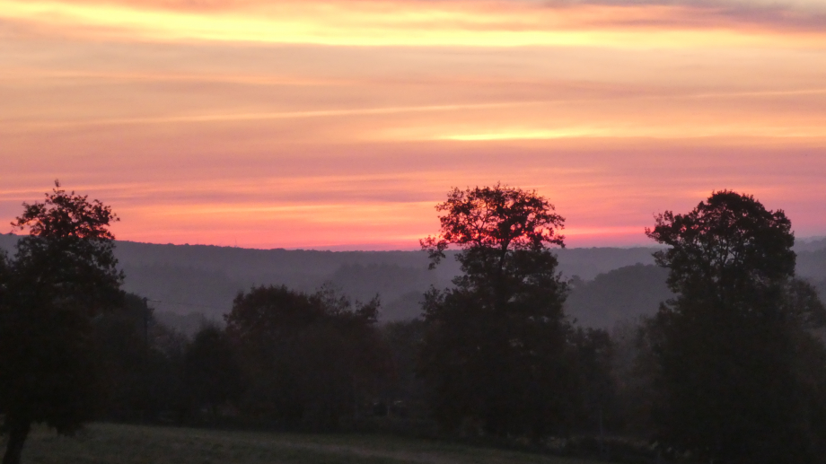 Brocéliande 17 10 2020 093.JPG