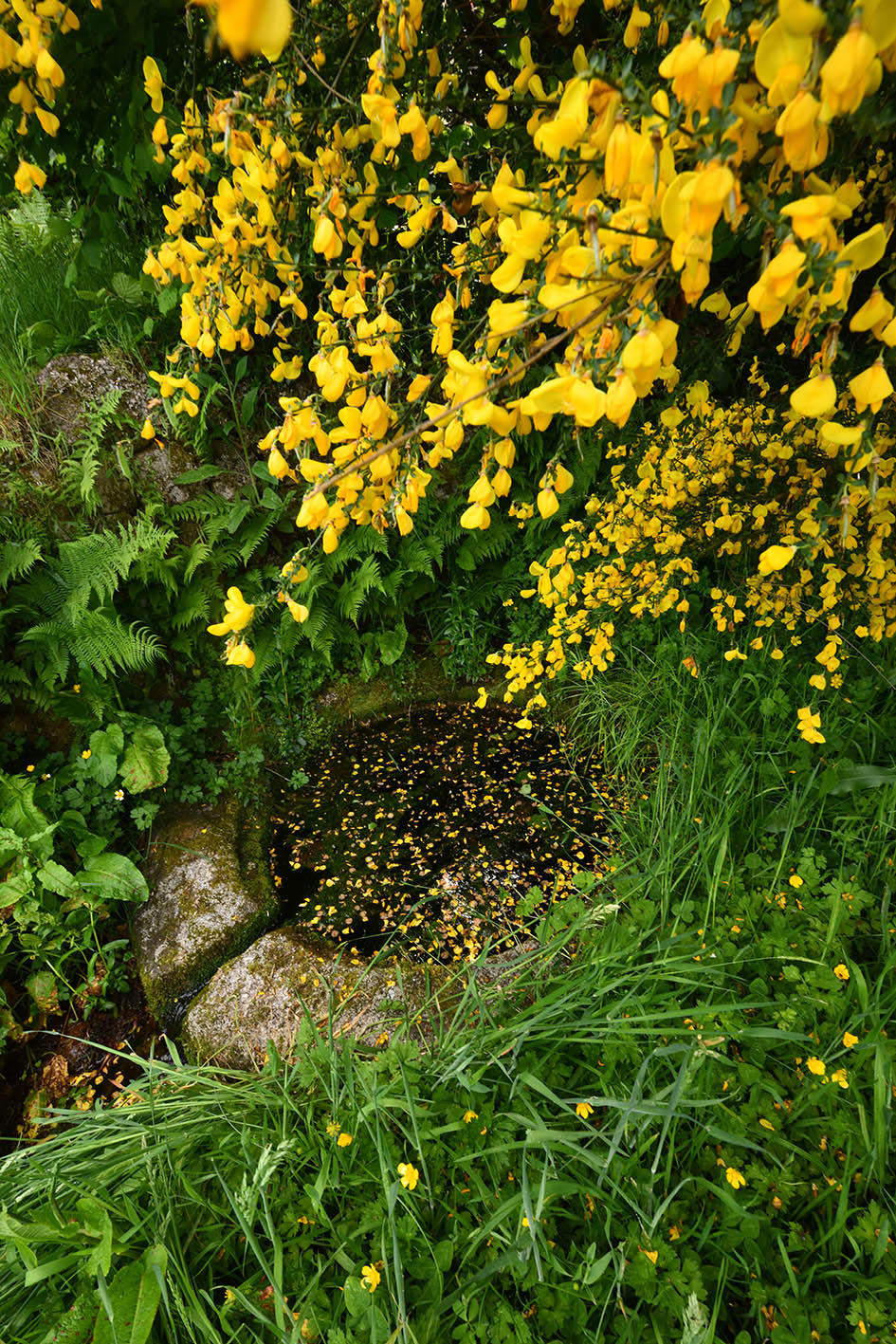 Fontaine St Martial Jabreille-les-Bordes 1.jpg