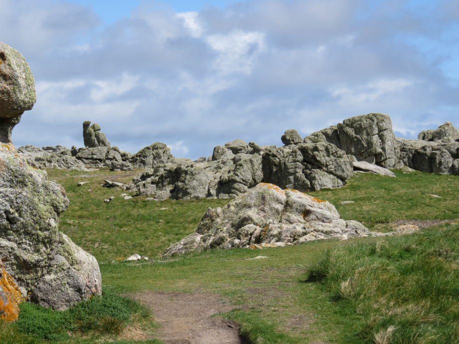 Ouessant Avril 2016 126.JPG