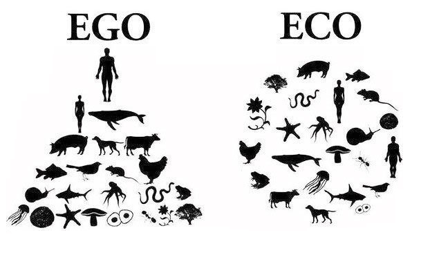 07 ego vs eco.png