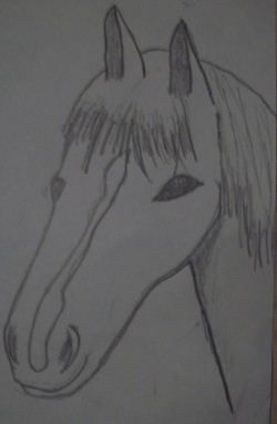 Un cheval dessiné par Loupss