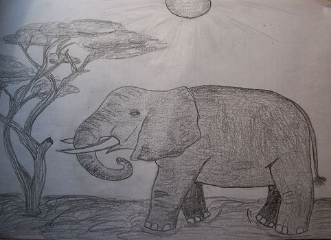 Eléphant dessiné par Loupss