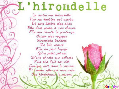 Hirondelle