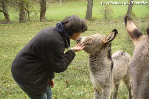 Smack avec ma CAMELIA