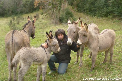 Moment de tendresse entre Eric et les ânons ainsi que leur maman !