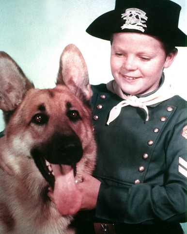 Rin-Tin-Tin-in-The-Lone-Defender-Premium-Photograph-and-Poster-1021036__46174.1432436026.386.513.jpg