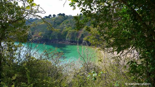 Fermain Bay in Spring, Guernsey