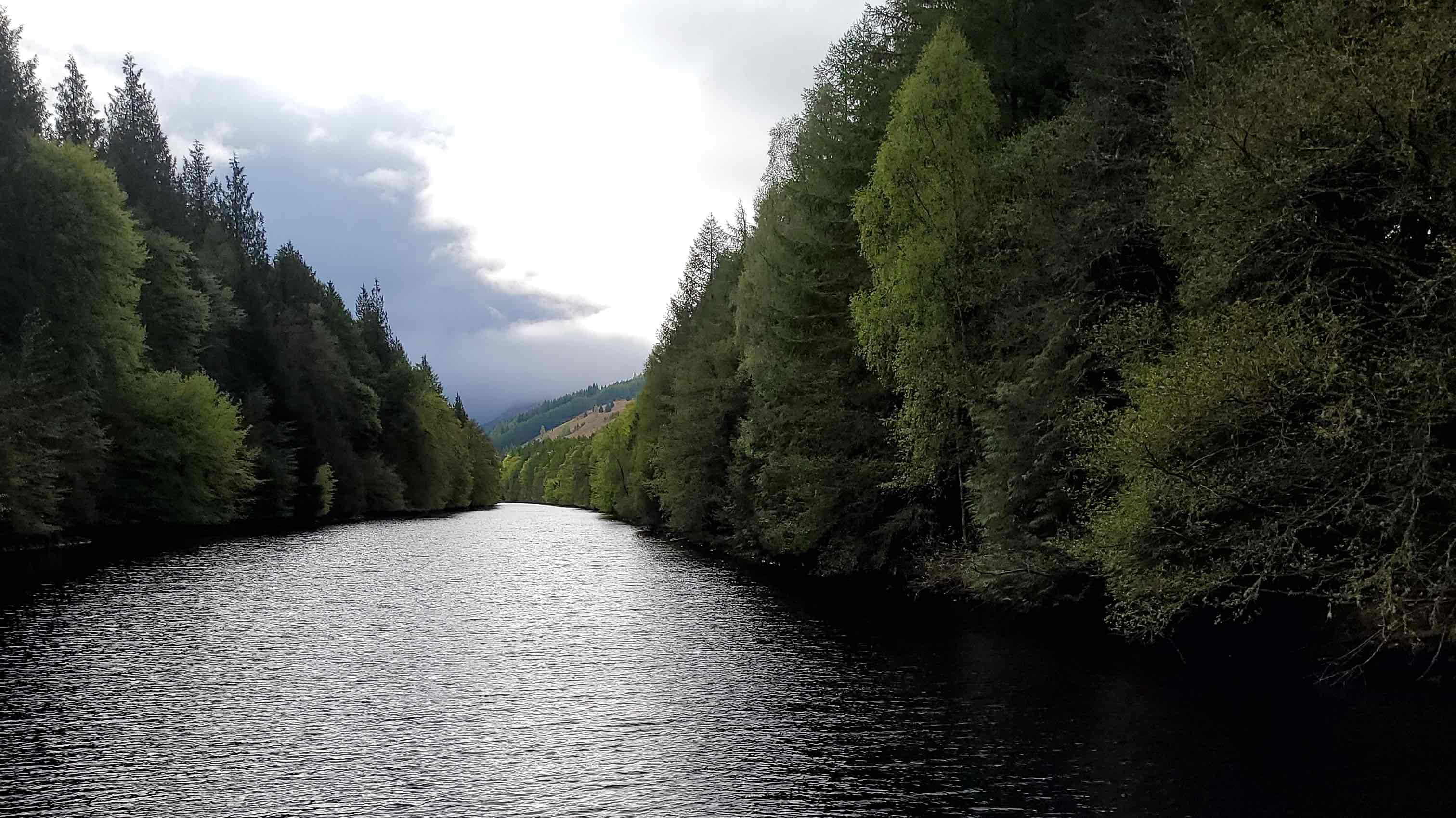 « Au fur et à mesure que nous approchions du Loch Ness, la forêt s’épaississait et le soleil jaillissait ».