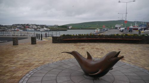 Fungie sur la place du village de Dingle