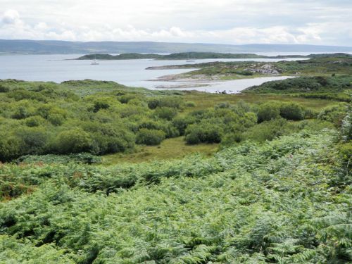 Gigha iIsland