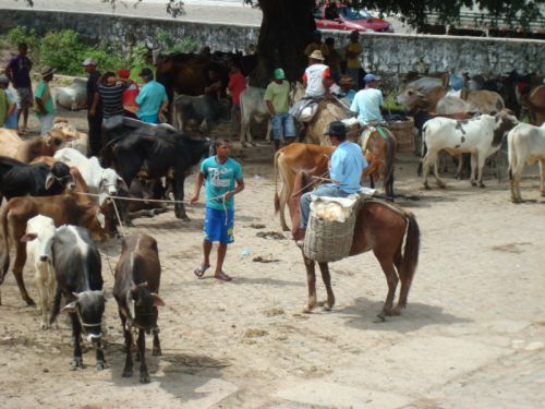 Marché de Maragojipe