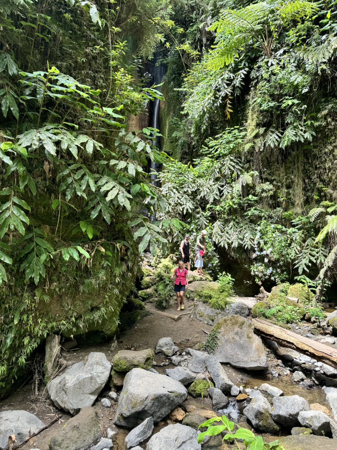 Randonnée dans la végétation luxuriante de São Miguel.