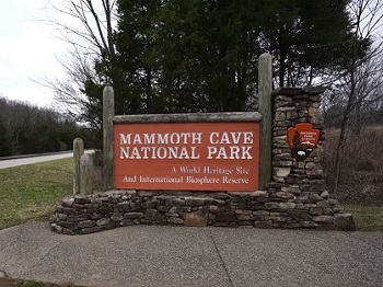 27 - Mammouth 262.jpg