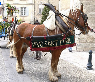 Vivo Sant marco 400 x 350.jpg