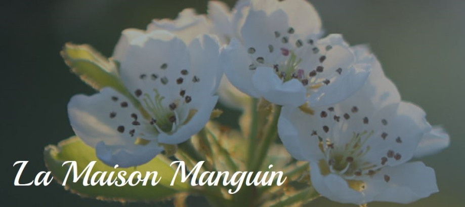 1 - 2 - Manguin.JPG