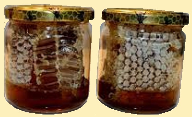 19 Pot de  miel sur fond blog.jpg