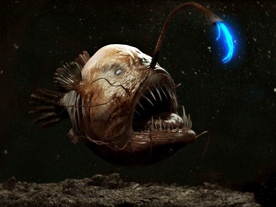 29_ocean-creatures-angler-fish-bright.jpg