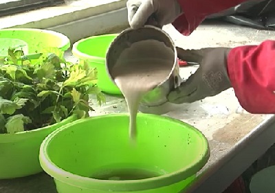 1 - 23 - 2 - soupe de truffes.jpg