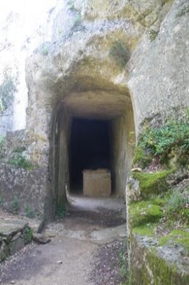 Tunnel des cantarelles 2.jpg