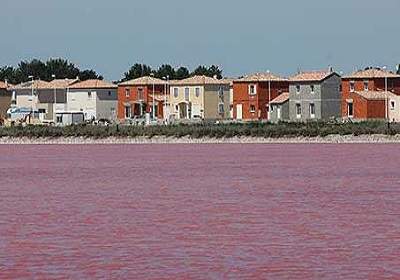 72 - visiter-salins-giraud2.jpg