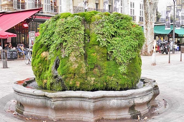 13 - Fontaine Moussue 600 x 400.jpg