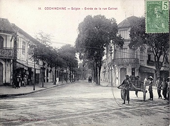 10 - De belles avenues bordées de platanes.jpg