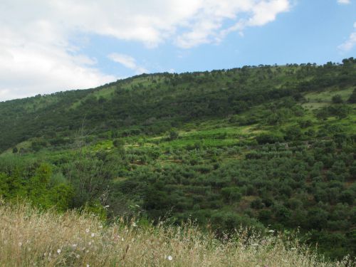 Une colline du Gargano