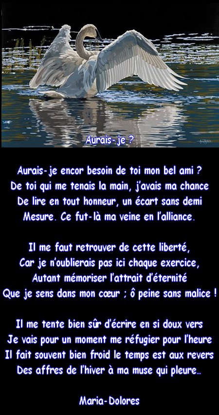 aurais je.jpg