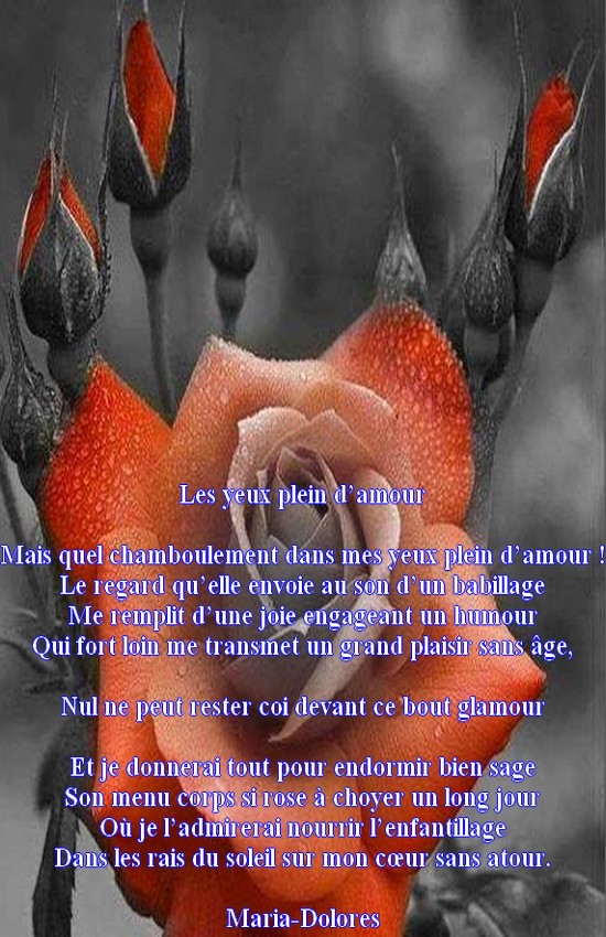 Les Yeux Plein D Amour Nouvelle Forme Le Neuvain Hemispherique Poemes De Marido Toutes Formes