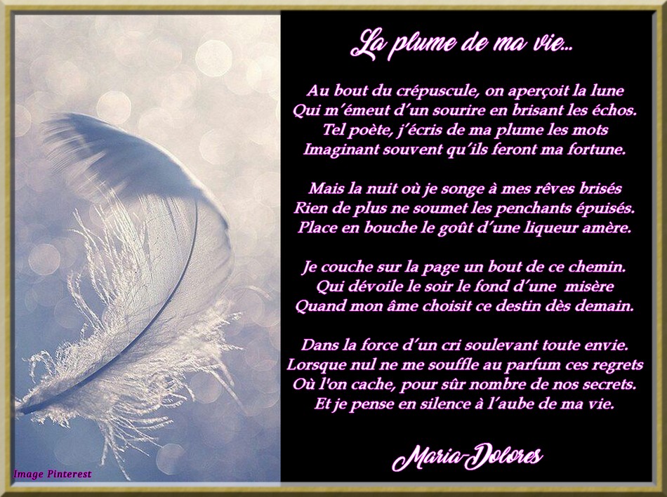 La plume de ma vie